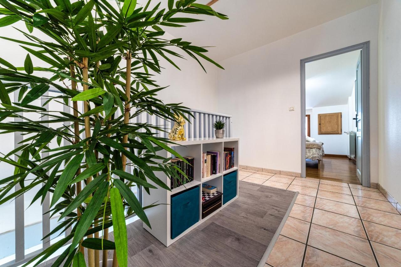 T3 Gaillac St-Jean-Fibre-Netflix-Parking Esterno foto
